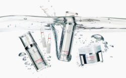 Hyaluronic urea