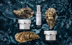 Oyster