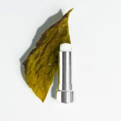 LIP CARE - beschermt en herstelt (4,5 gr)